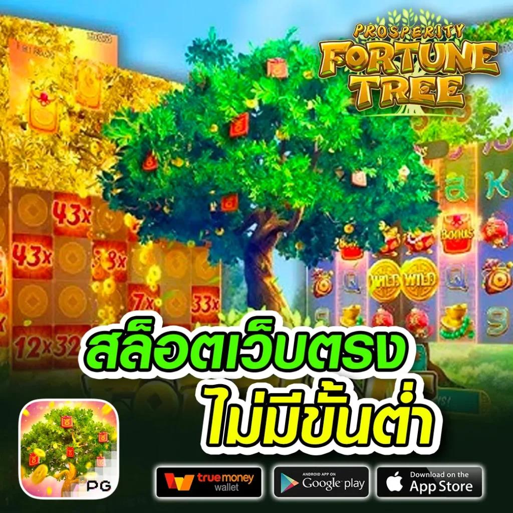 สล็อตวอเลทเว็บตรง เว็บตรง สล็อต ฝากถอนออโต้ ไม่ผ่านเอเย่นต์ 2026